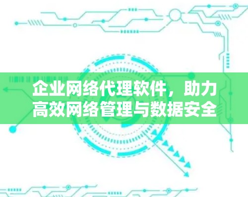 企业网络代理软件,助力高效网络管理与数据安全 企业网络代理软件,助力高效网络管理与数据安全